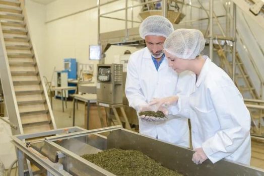 Contrôles sanitaires : comment l&rsquo;audit hygiène vous évite la fermeture ?
