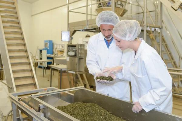 Contrôles sanitaires : comment l&rsquo;audit hygiène vous évite la fermeture ?