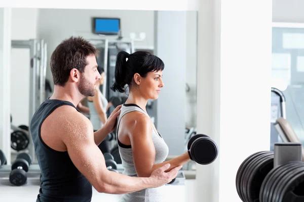 Créer son propre programme d&rsquo;entraînement : les bases