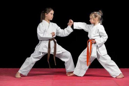 Cours de karaté : comment choisir un entraînement adapté à son niveau ?